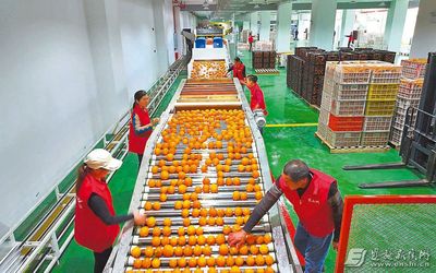 全自動(dòng)農(nóng)業(yè)設(shè)施繪&ldquo;豐&rdquo;景