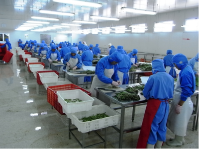 泰安市農(nóng)業(yè)農(nóng)村局