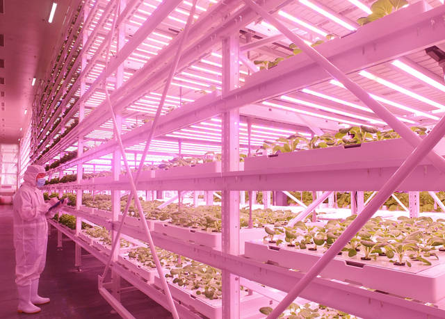 Plant2018中國國際植物工廠及農(nóng)業(yè)照明博覽會(huì)即將在滬開幕