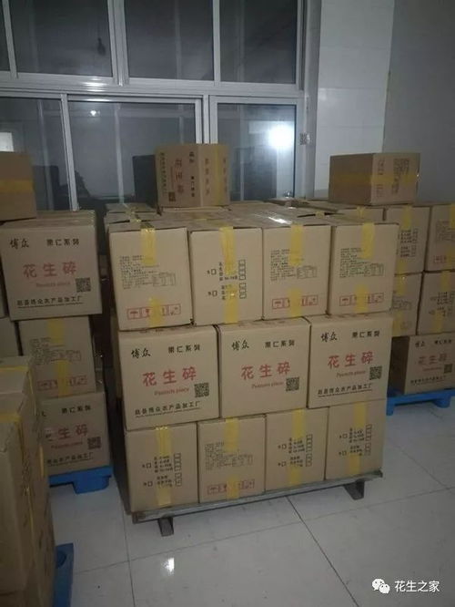 超級供應商推薦 河北石家莊博眾農產品加工廠 賈永寧