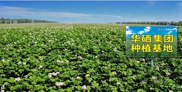 珠海華硒集團邵有林同志受聘為中國管理科學研究院行業發展研究所高級研究員