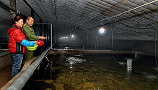 中國網新聞中心 傳遞中國價值