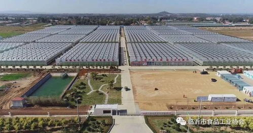 臨沂市食品協(xié)會(huì)組織會(huì)員單位 赴山東沃華智慧農(nóng)業(yè)科技園考察