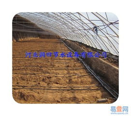 【滴水軟帶廠(chǎng)家|黑色壁厚0.3mm蔬菜滴灌輸水帶的圖片】-省內(nèi)其它易登網(wǎng)