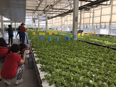 房山&ldquo;秋收節(jié)&rdquo;邀市民體驗農業(yè)高科技