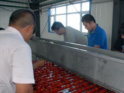 134團開足馬力加工番茄 - 國內新聞 - 新聞資訊 - 農村信息網(wǎng)-農業(yè)信息-農民工招聘-農產品價格行情-養(yǎng)殖技術