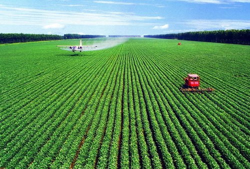 綠色農業(yè)網(wǎng) 互聯(lián)網(wǎng)助力農業(yè)發(fā)展,營造嶄新業(yè)態(tài)