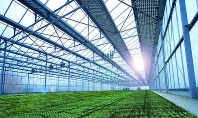 農業(yè)也能玩轉高科技,看傳統(tǒng)農業(yè)如何向生態(tài)農業(yè)轉變?