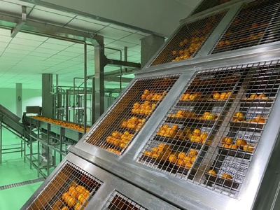 萬州柑橘&ldquo;72變&rdquo;身價漲:全產業鏈打造,實現零廢棄全果利用