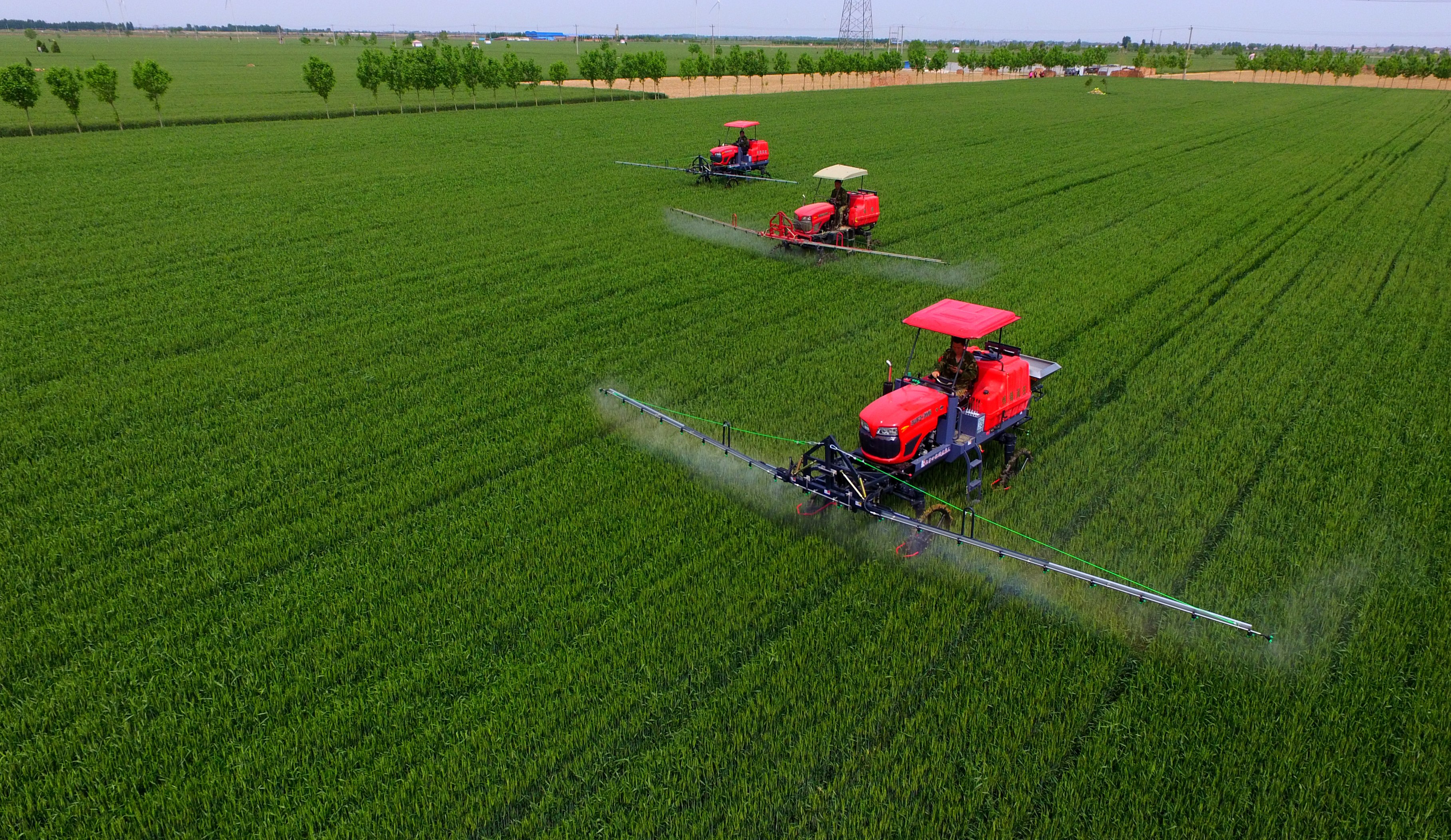 夏糧豐收在望 農(nóng)業(yè)&ldquo;壓艙石&rdquo;穩(wěn)固--鄉(xiāng)村振興不斷夯實(shí)經(jīng)濟(jì)社會(huì)發(fā)展根基