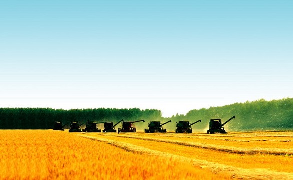 [中研普華]全球糧食價(jià)格及我國糧食安全分析