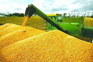 順應我省農(nóng)業(yè)供給側(cè)結構性改革大潮 打造新型農(nóng)產(chǎn)品經(jīng)紀人