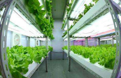 臺(tái)灣源鮮集團(tuán)董事長(zhǎng)蔡文清:臺(tái)植物工廠產(chǎn)品將營(yíng)銷到北歐各國(guó),未來將開發(fā)北歐市場(chǎng)