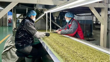 黑龍江省寶清縣入選國(guó)家現(xiàn)代農(nóng)業(yè)產(chǎn)業(yè)園