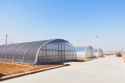 物美植物工廠首次公布數(shù)字化未來(lái)農(nóng)業(yè)或成發(fā)展趨勢(shì)