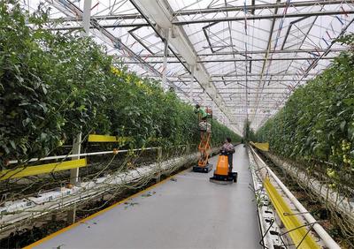 【春耕一線見(jiàn)聞】桐城:數(shù)字技術(shù)&ldquo;上山下田&rdquo; 農(nóng)產(chǎn)品&ldquo;出村進(jìn)城&rdquo;