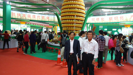 【批發(fā)蜜柚天然果園培植品質(zhì)保障 批發(fā)售賣13459609788】?jī)r(jià)格_廠家_圖片 -