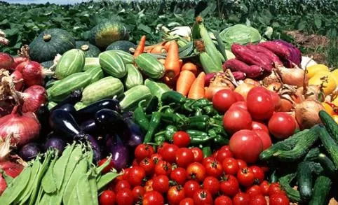 商務部關于做好農產品產銷對接工作的通知