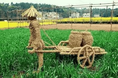 河北省農業農村廳推出11條休閑農業精品線路，助力農業旅游發展